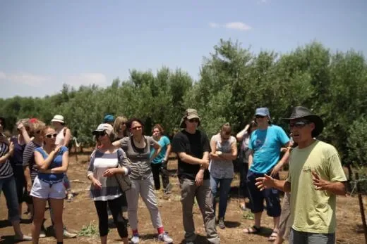 יום כיף וגיבוש לעובדים ברמת הגולן - טיולי ג