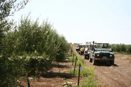 טיול ג'יפים לקבוצות בגולן